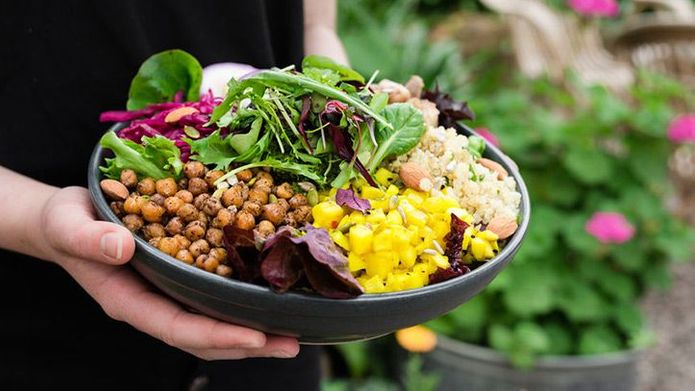 The Health Benefits of Eating a Plant-Based Diet